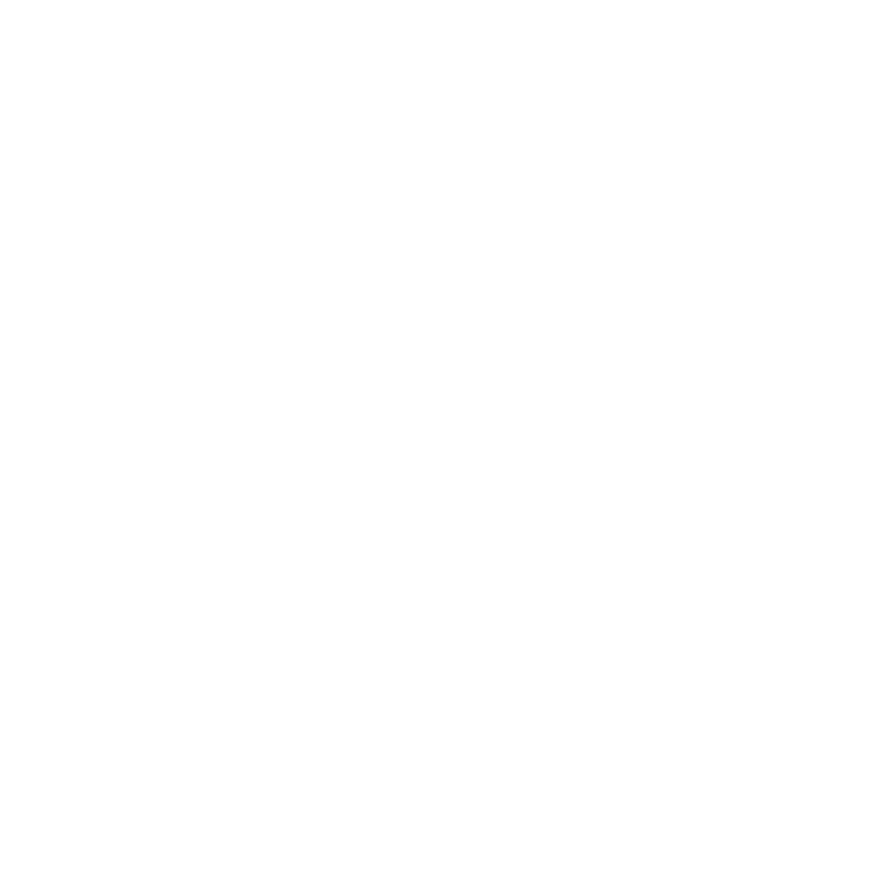 RISE PROJECT logo
