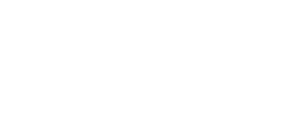 LIRO logo